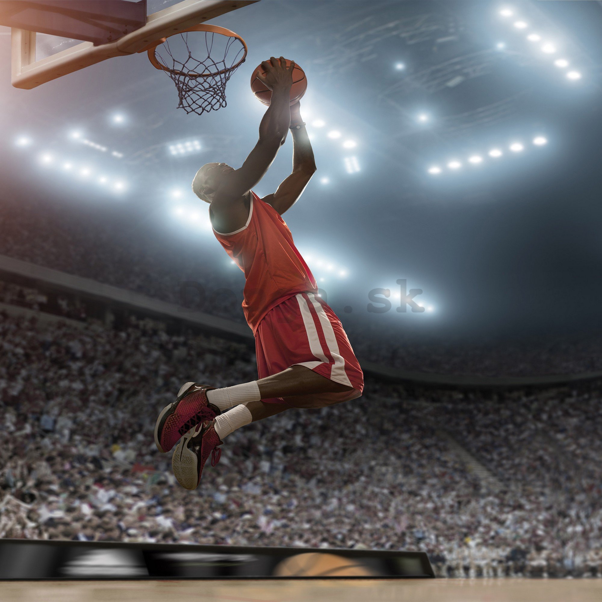 Fototapeta vliesová: Basketball player - 416x254 cm