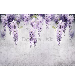 Fototapeta vliesová: Flowers Violet Wisteria Romantic (1) - 416x254 cm