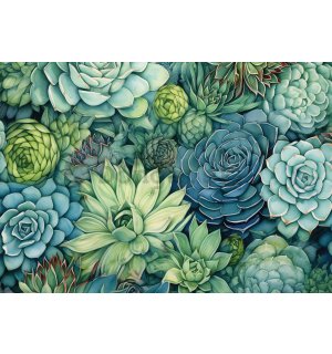 Fototapeta vliesová: Succulents - 416x254 cm