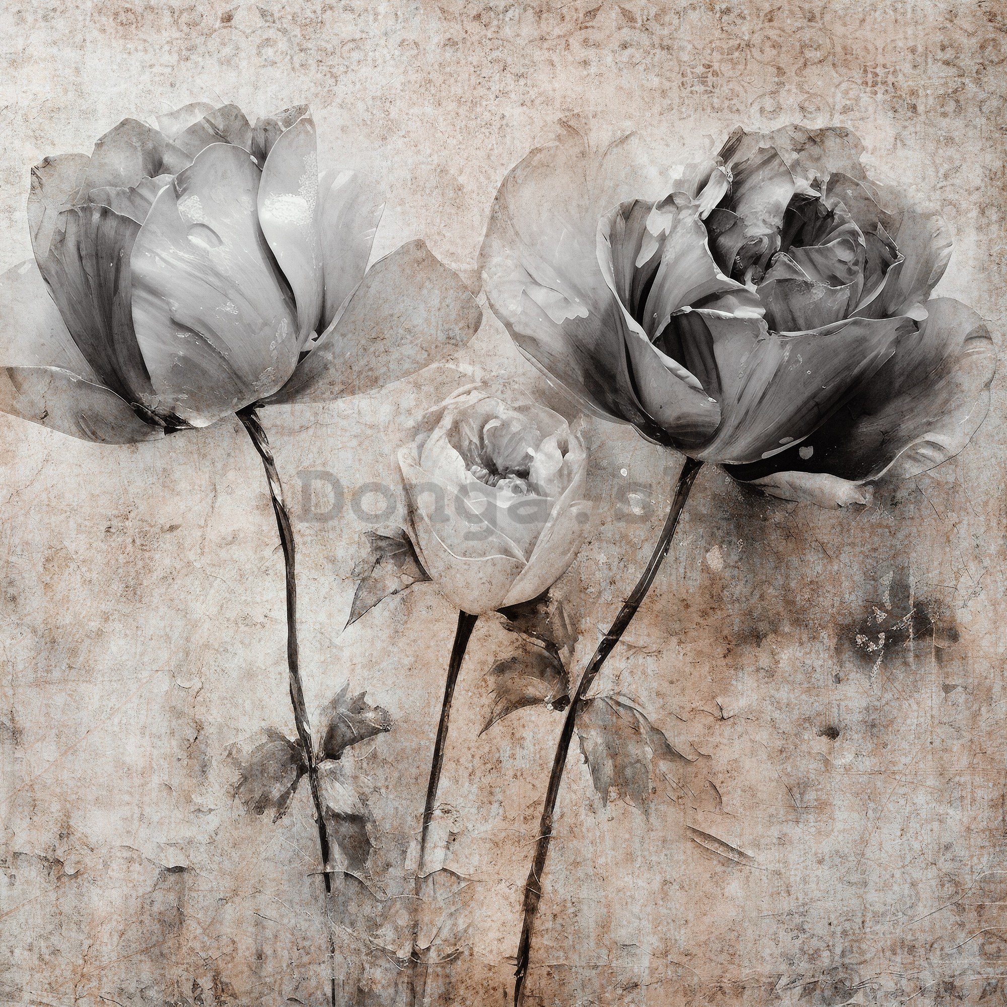 Fototapeta vliesová: Flowers Roses Structure (1) - 416x254 cm